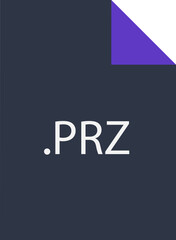 PRZ File icon fill crisp corners  v1
