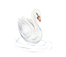 Watercolor hand painted illustration cute swans and water waves. Isolated on white background. White pastel colors bird. Wedding symbol of fidelity in the family