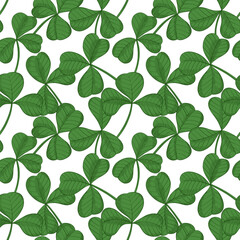 Seamless pattern with clover leaves. Hand drawn shamrock for background.