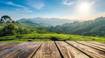 Fototapeta premium Serene Tea Plantation View from a Rustic Wooden Table