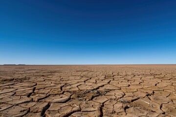 Fototapeta premium Cracked Earth