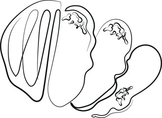 sketch logo for a bakery, namely half a loaf of bread and tree porous pieces of bread, line art