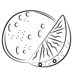 sketch logo of a fruit, namely a whole orange and a piece of orange in an abstract style, vector
