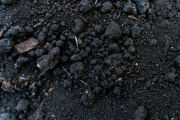 土壌（テクスチャ）