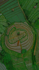 top view from the mound of the hill