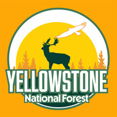 Yellowstone National Park, United States with beautiful views