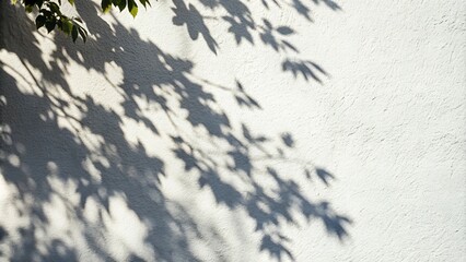 This captivating background features a mesmerizing dance of tree leaf shadows on a bright white wall, perfect for capturing the essence of a sunny day in any design.