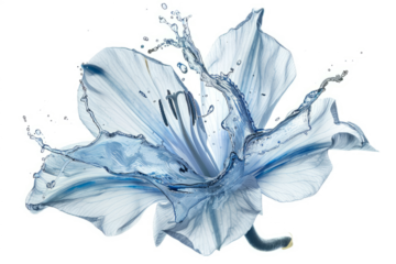 Abstract shape of water splash, resembling a flower, isolated on white