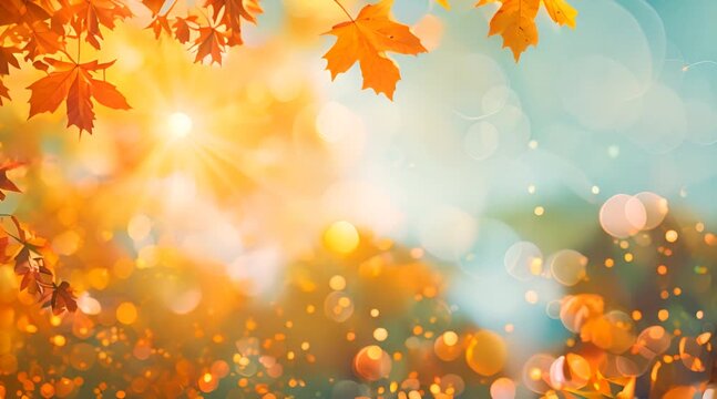 Animated background of an autumn frame with an empty space for text, maple leaves decorate beautiful nature for Thanksgiving, yellow-red colorful landscape layout.