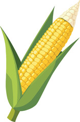 Obraz premium Corn with green leaves illustration on a white background