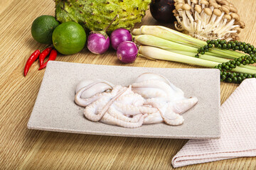 Delicous fresh raw uncooked octopus