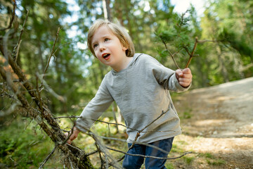 Toddler boy exploring in beautiful mixed pine and deciduous forest of Estonia. Beauty of Baltic nature.