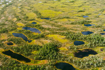 Aerial view of Seli Bog, dotted with pine trees, hollows and pools, located in Jarva county, Estonia. Unique wetland ecosystem supports diverse wildlife and is a home to unique plants and animals