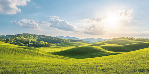 Obraz premium Summer landscape with hills and sunny sky: Idyllic summer scene with rolling green hills under a bright, clear sky