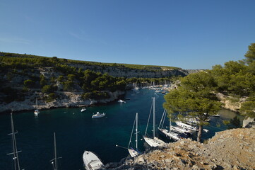 France, illustration of the sea and cove in Marseille in summer.