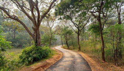 Obraz premium Unexplored path / Road less taken at Nagarhole national park, Karnataka, India. Bandipur forest. Curvy road ahead. Jungle safari searing wild animals. Tall trees, glomy weather, mysterious nature
