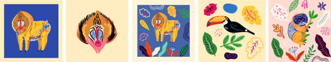 Vector art posters with monkeys. Hand-drawn illustrations. 