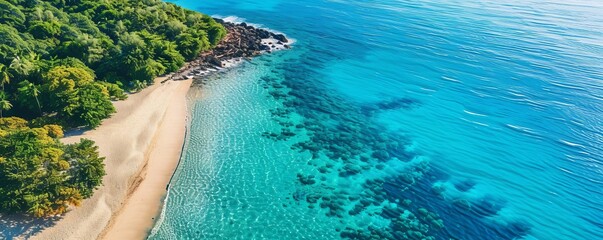 Aerial drone shot of tropical beach coastline with clear turquoise waters, Tropical beach, coastal paradise