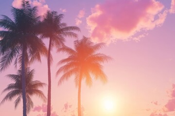 Sunset sky with a palm tree silhouette, creating a tropical background for travel advertising