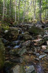 A beautiful view of a waterfall hidden away in a lush and green forest.