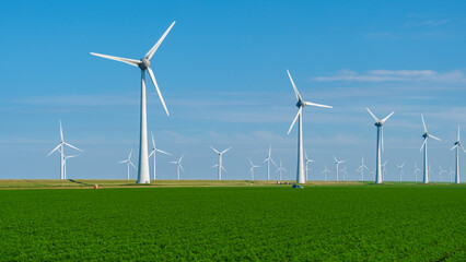 Fototapeta premium Captivating Wind Turbines Harvesting Sustainable Energy in the Netherlands Fields
