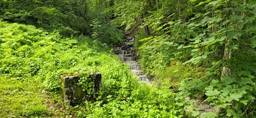 falling river into rainforest