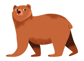 Cute brown bear isolated on white background. Forest wild animal. Flat vector illustration