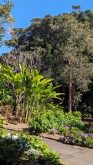 Beautiful flowers and trees from botanical garden