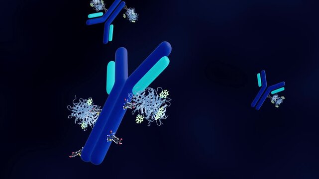 3D animation of a biotinylated antibody linked to BODIPY molecules or bright green.