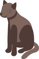 Brown cat with blue eyes sitting calmly looking around