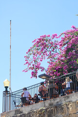 Terraza en el centro de Lisboa