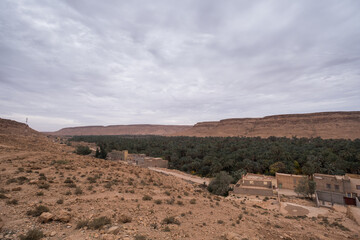 wide panoramic view of immense Tafilalet oasis in Morocco, North Africa. The largest in the world. Ziz River and palms in the middle of the desert between the cities of Erfoud and Rissani