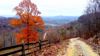 Naklejka premium an orange tree in the fall