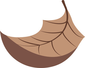 flat abstract brown dry autumn leaf