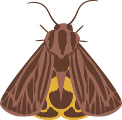 flat abstract night butterfly moth