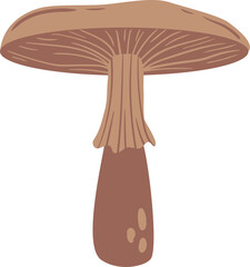 flat abstract realistic brown edible spring mushroom