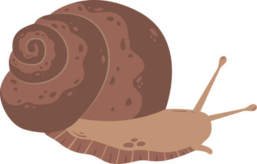 flat abstract realistic brown snail