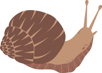 flat abstract realistic brown snail