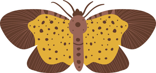 flat abstract night butterfly moth