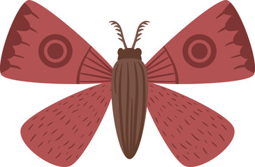 flat abstract night butterfly moth