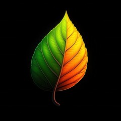 Vibrant leaf transitioning from green to orange against a dark background