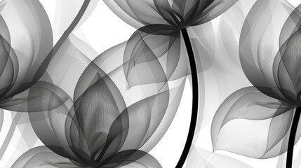 Fototapeta premium abstract tulips