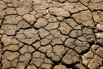 A desolate riverbed, completely dry and cracked under the scorching sun, showcases the harshness of...