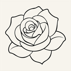 Rose Flower Line Art Illustration