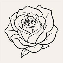 Rose Flower Line Art Illustration