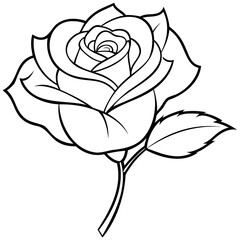 Rose Flower Line Art Illustration