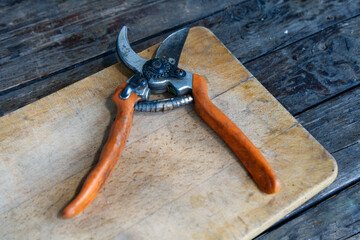 A pair of well-used, orange-handled pruning shears lies open on a worn wooden cutting board,...