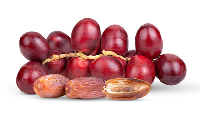  date palm isolated on transparent png