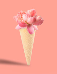 Ice cream cone with peony flower on coral color background