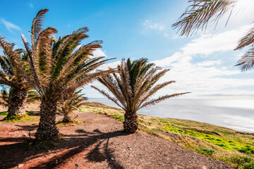 Fototapeta premium Scenic ocean landscape. Vereda da Ponta de Sao Lourenco or Ponta de Sao Lourenco in Madeira island, Portugal.